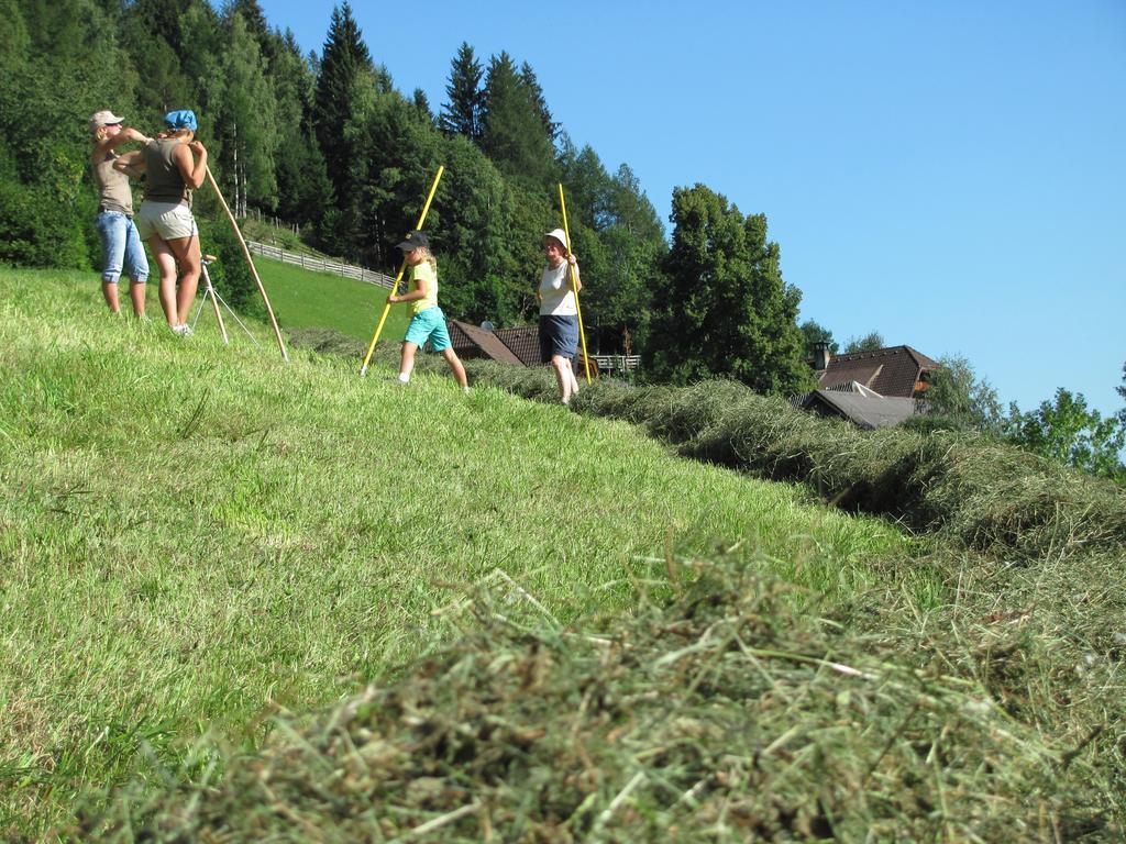 Lercherhof Feld am See Eksteriør billede